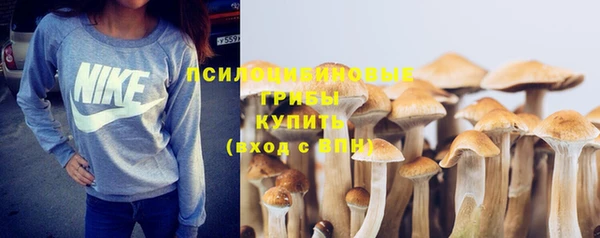 шишки Новокубанск