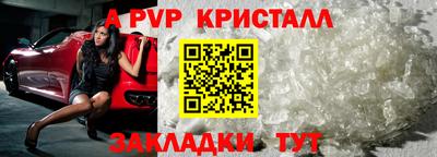 крисы Гагарин