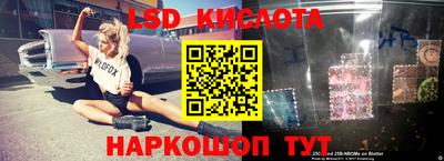 спайс Гатчина