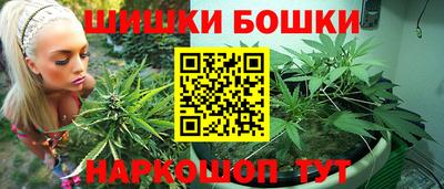 крисы Гагарин