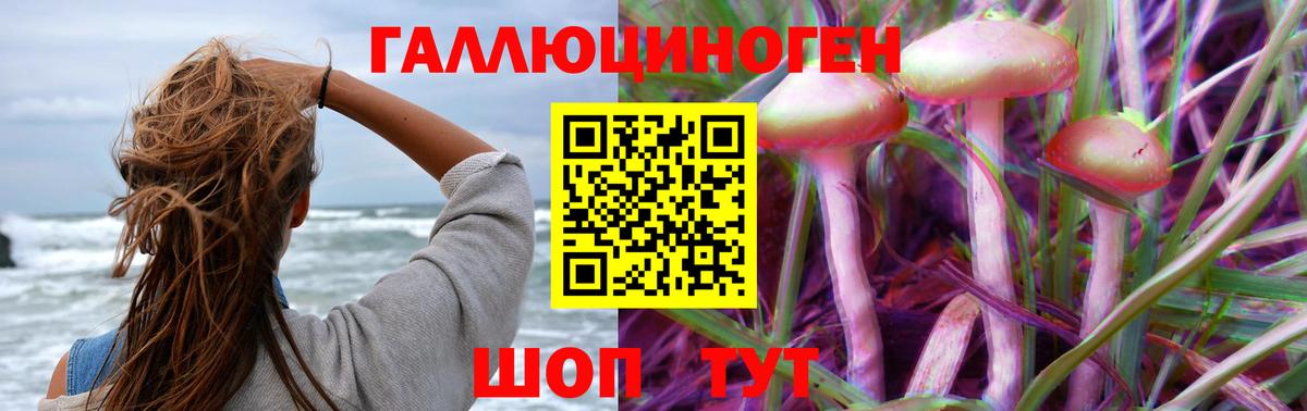 Псилоцибиновые грибы MAGIC MUSHROOMS  Вход с VPN  Людиново 
