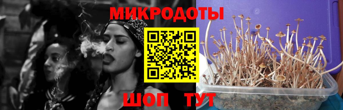 Галлюциногенные грибы Magic Shrooms Людиново