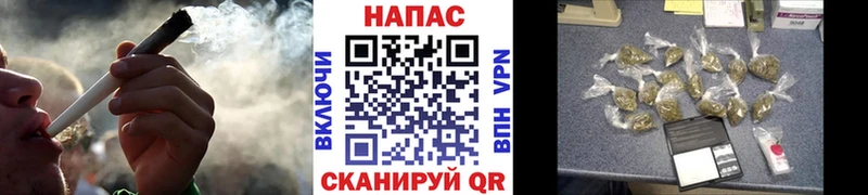 Бошки Шишки ГИДРОПОН  Людиново 